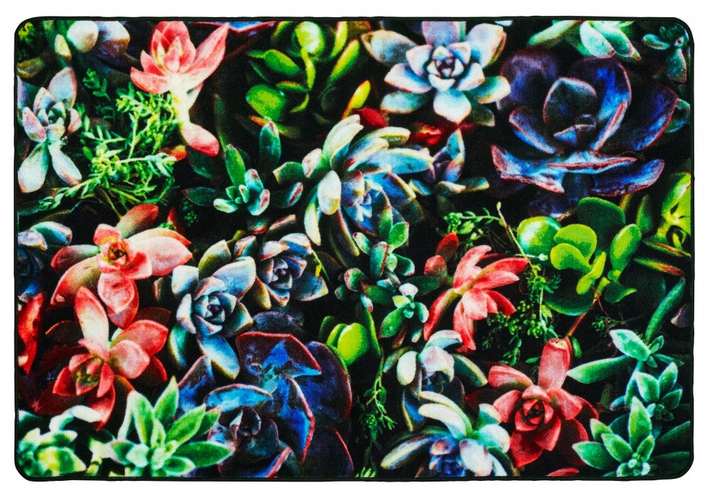Succulent Garden — SKU 61716