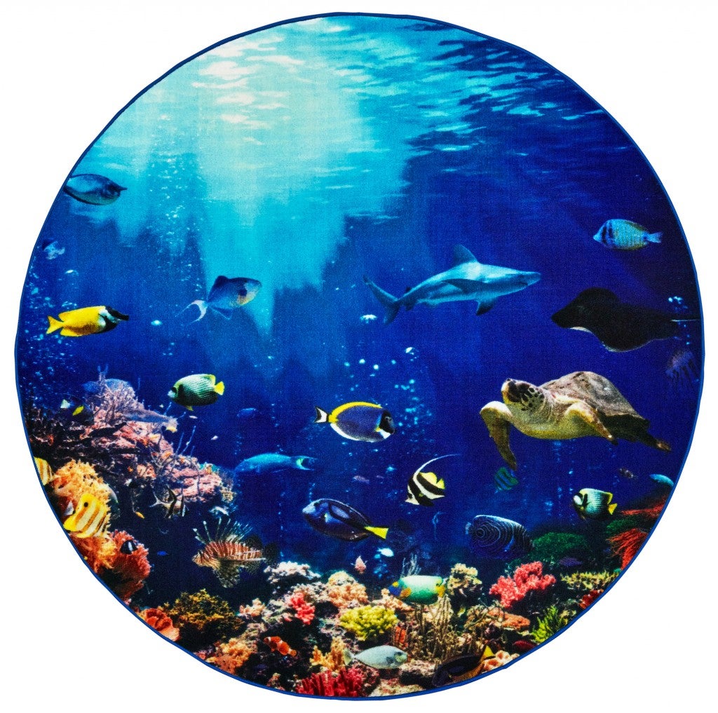 Explore the Ocean — SKU 61006