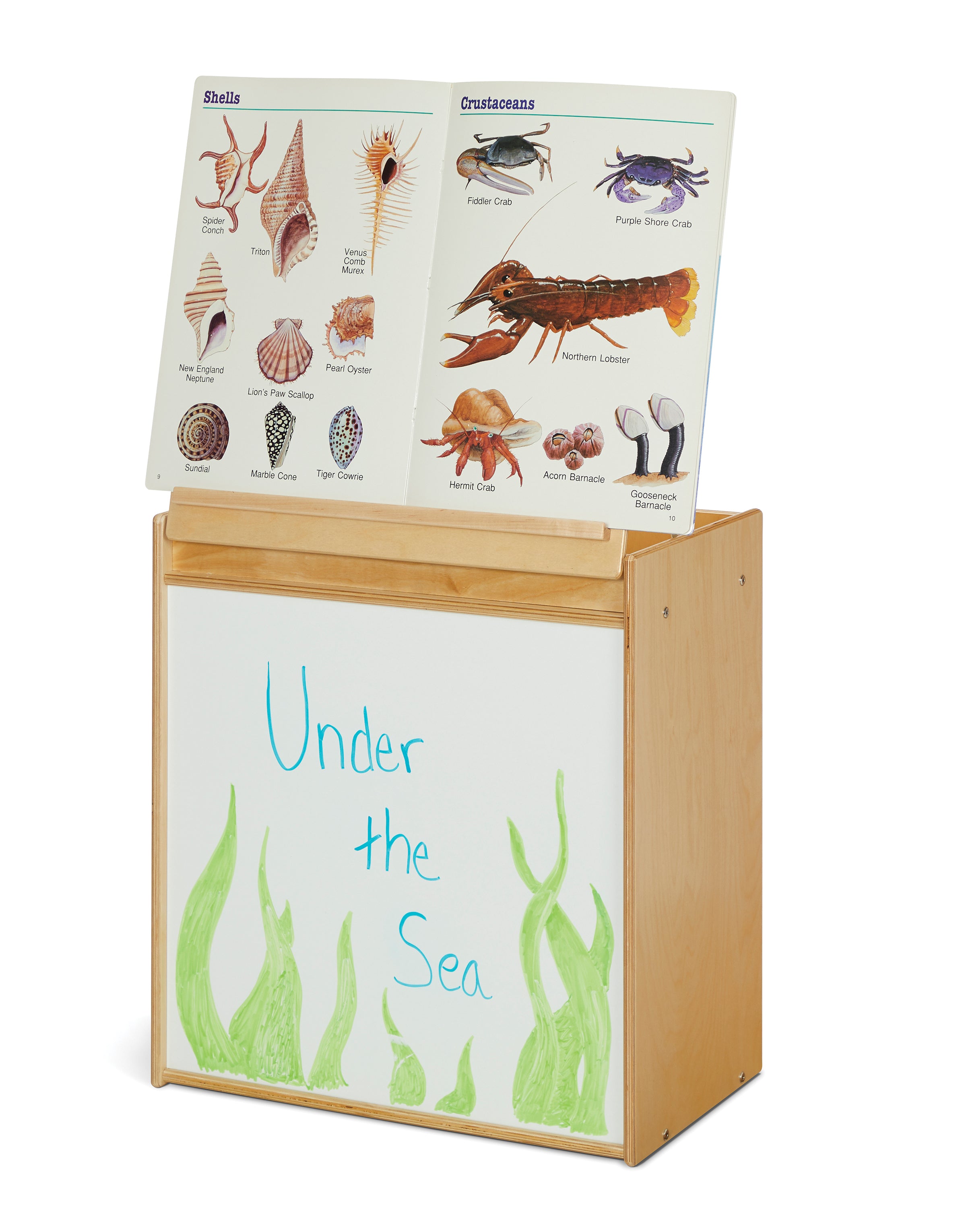 Young Time® Wooden Classroom Lift Top Book Easel With Storage — 7094YT.jpg